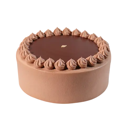 Chocolate Ganache Cake